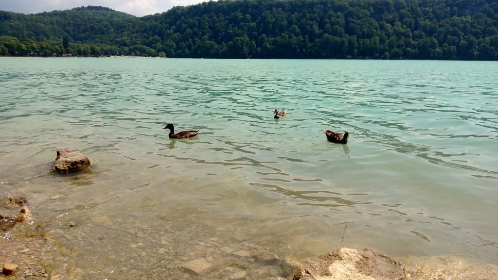 Lac de Cahlain, Doucier, plage naturiste, naturisme dans lejura