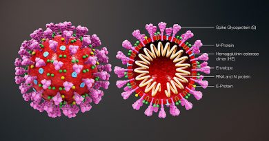 coronavirus